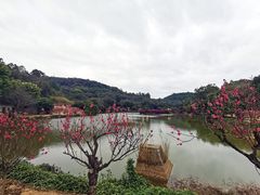 -南国桃园旅游度假区