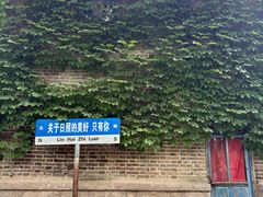 -日照海滨国家森林公园