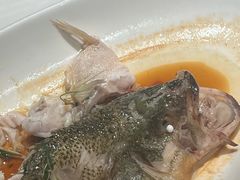 -广州白云机场铂尔曼大酒店·恬园创意中餐厅