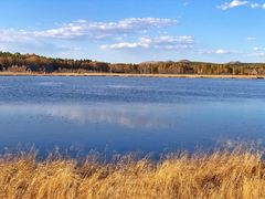 -塞罕坝国家级自然保护区