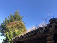 -天龙八部武侠城