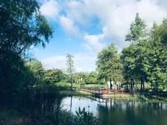 -梁鸿国家湿地公园