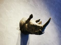 -ZOO COFFEE动物园咖啡(望京锐创店)