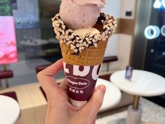外带冰淇淋单球杯-哈根达斯(深圳海岸城店)