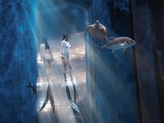 -成都浩海立方海洋公园