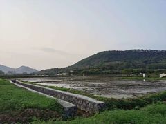 -广州市流溪河国家森林公园