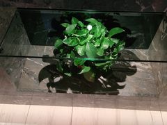 -额尔敦牛厨师铜板烧