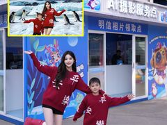 -海合安成都极地海洋公园