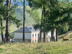 -喀纳斯鸿福生态度假酒店