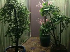 -厦门泰谷酒店(中山路镇海路地铁站店)