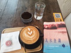 -树咖啡tree coffee