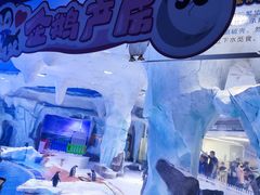 -上海海昌海洋公园