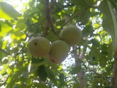 -水库活鱼馆(于桥水库店)