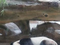 -宁波野生动物园