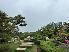 -中国唐苑