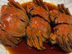 -新光酒家·河豚·海鲜·蟹料理(浦东店)