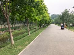 -东郊湿地公园