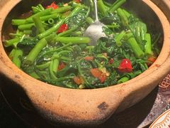 云南傣味空心菜-旺爷砂锅·茶作(国贸城店)