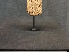 -盘龙城遗址博物院