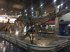 -国家自然博物馆