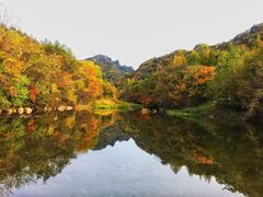 -三块石国家森林公园