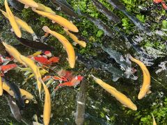 -水磨沟公园