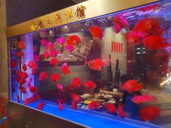 -朱光玉火锅馆(正弘城店)