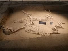 -洛阳周王城天子驾六博物馆