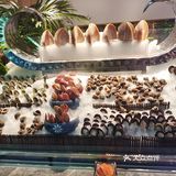 这是我吃的品种最丰富的自助餐，价格还不贵