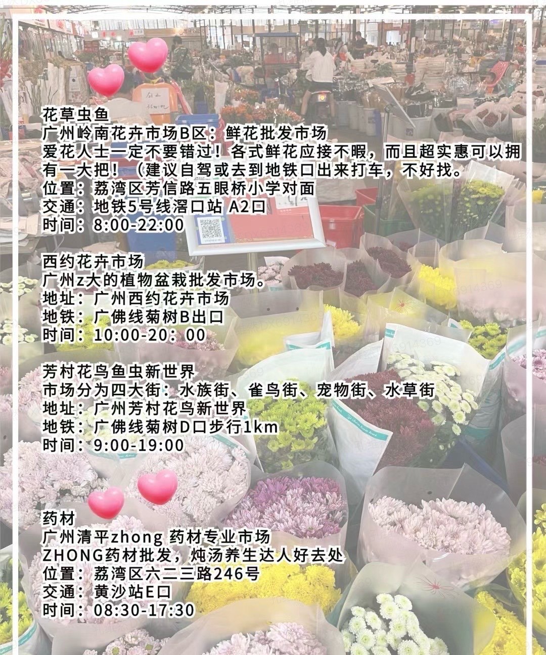 花卉基地批发在哪里