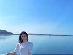 -长岛万鸟岛