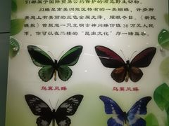 -上海昆虫博物馆