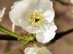 -天津东丽湖风景区