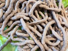 -横沥牛庄(总店)