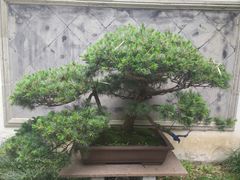 -交通银行(上海西藏南路支行)