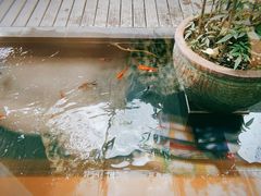 -旅马餐厅(茅家埠店)