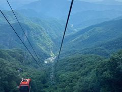 -牛背梁国家森林公园