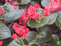 -黑龙江省森林植物园