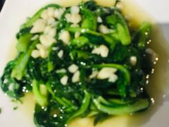 -重庆火锅水库鱼庄(南油店)
