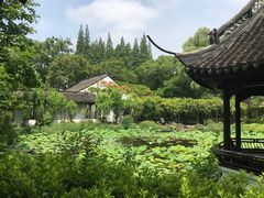 -上海醉白池公园