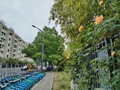 -杭州观成实验学校