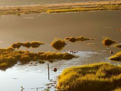-腾冲北海湿地