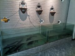 -红井路游艺炖锅·音乐餐吧(十渡店)