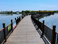 -天津东丽湖风景区