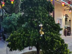 -区海鸡场饭店(石壁店)