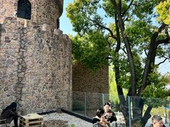 -J Create城市露营咖啡·简餐·宠物(上海动物园店)