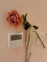 -蕾蕾美颜美容美体