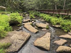 -五营红松林海景区