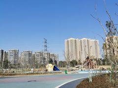 -三垟湿地