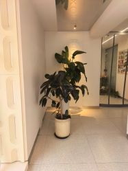 -魔型社烫染店